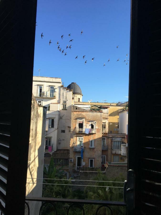 Le Rondini Della Pietrasanta Nápoles Exterior foto